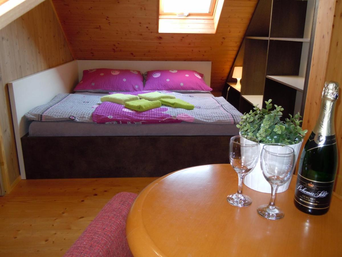Apartment Wellness Vlckova Exteriör bild